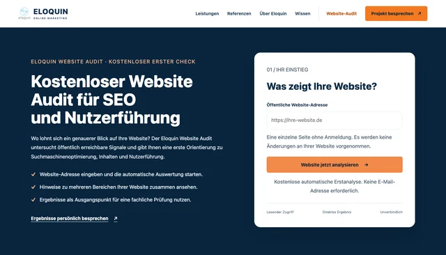 Website-Audit mit URL-Eingabe und verständlicher Erläuterung des Prüfumfangs